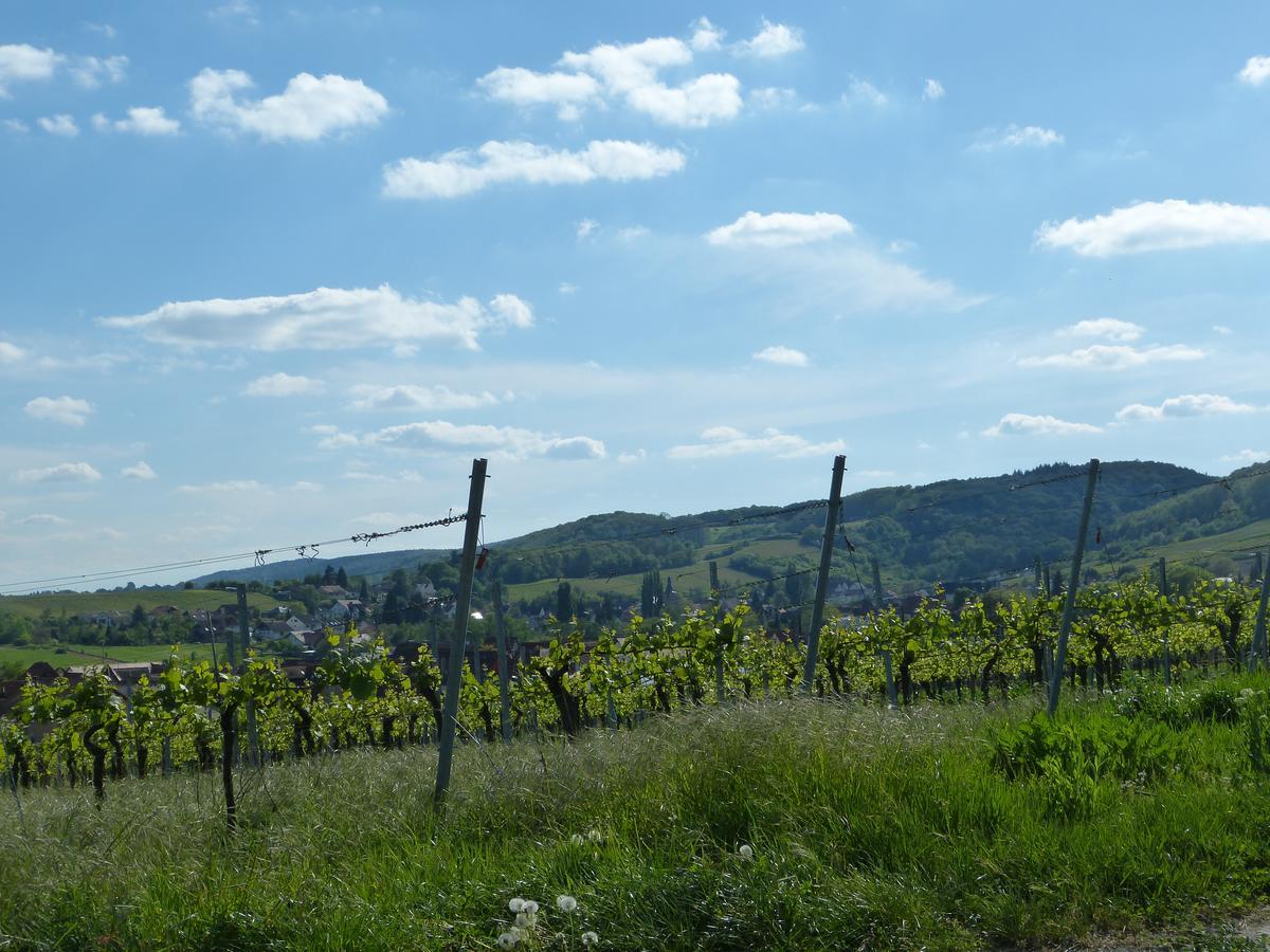 Niederhorbach Gaestehaus Annel מראה חיצוני תמונה