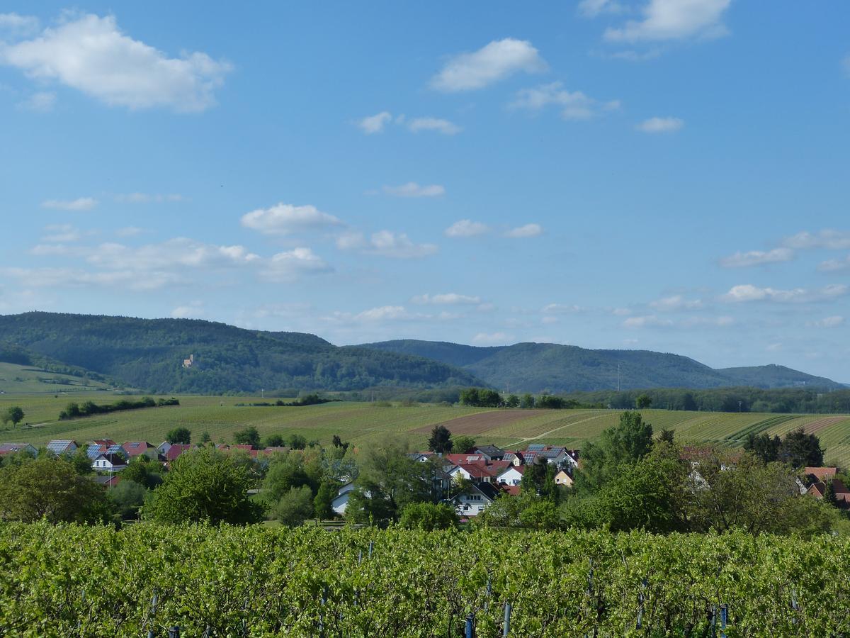 Niederhorbach Gaestehaus Annel מראה חיצוני תמונה