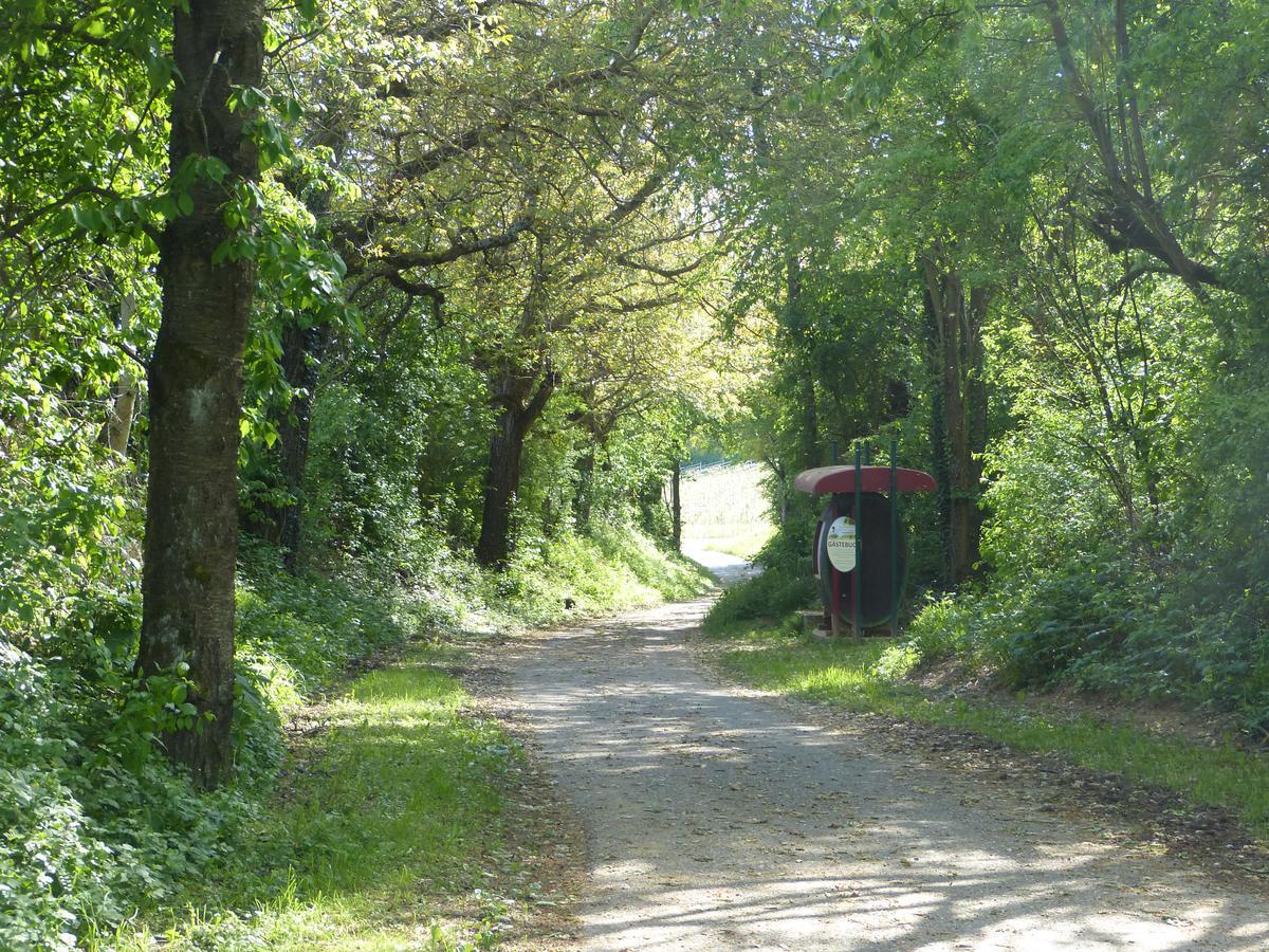 Niederhorbach Gaestehaus Annel מראה חיצוני תמונה