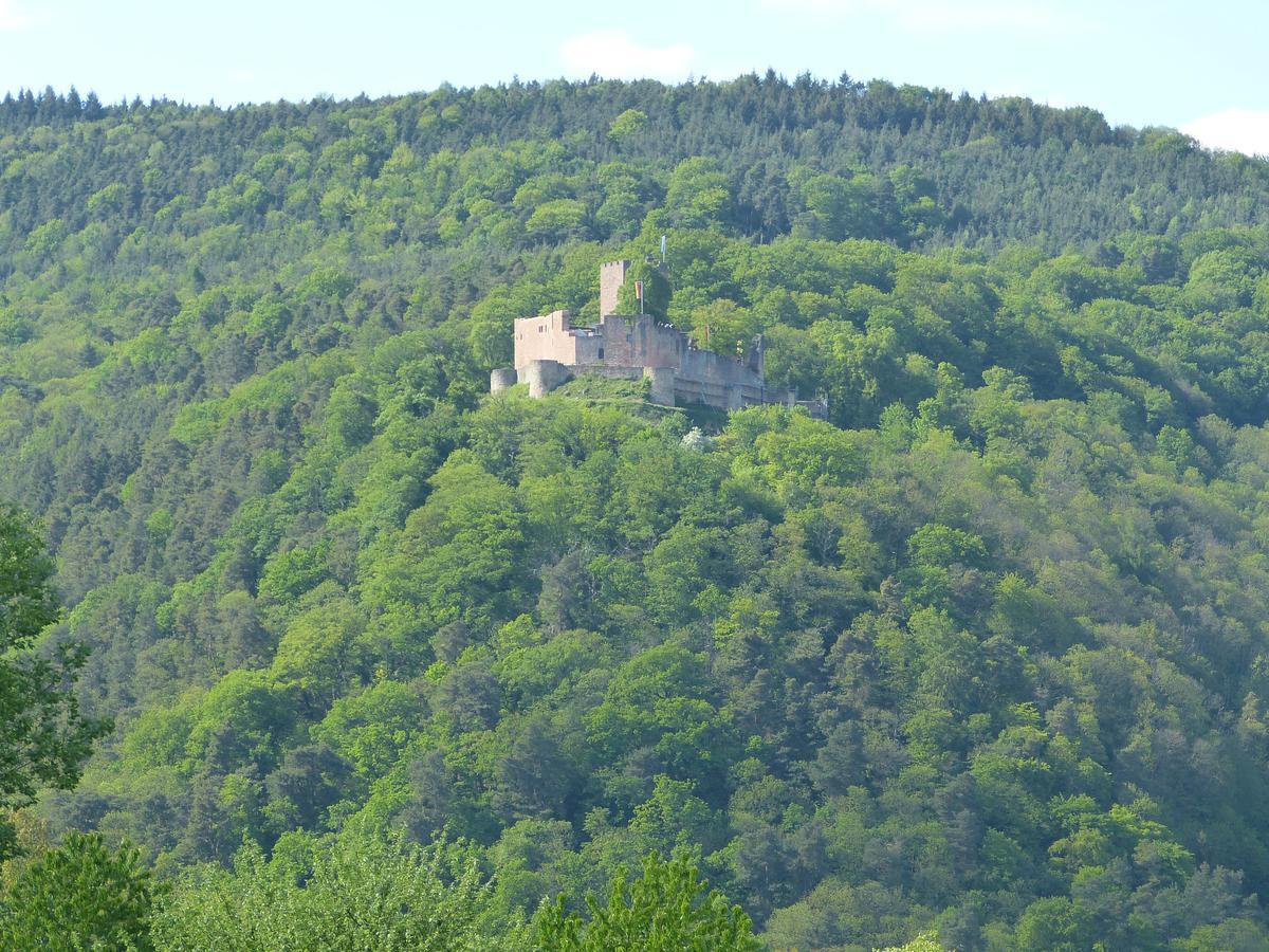 Niederhorbach Gaestehaus Annel מראה חיצוני תמונה